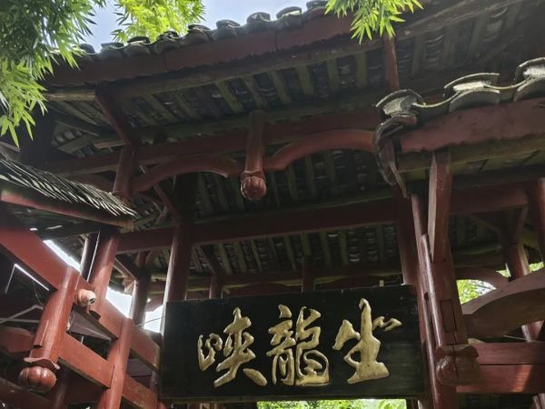 艺高动态 艺高动态