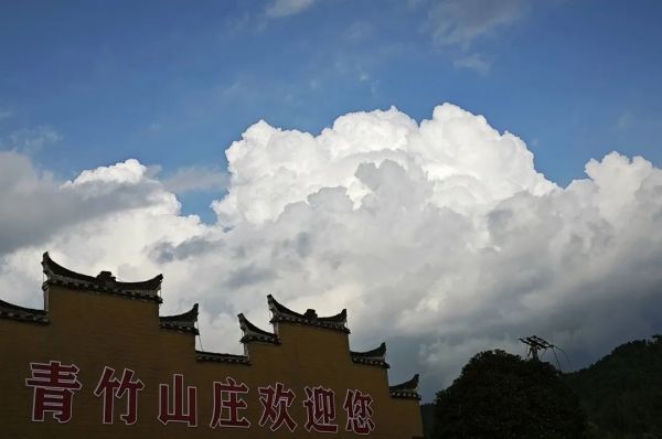 艺高动态 艺高动态