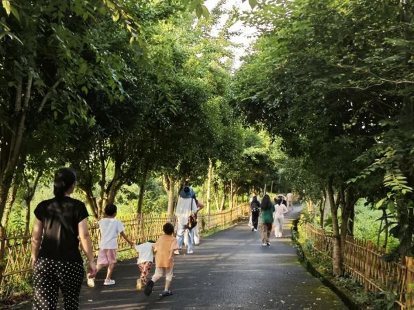 艺高动态 艺高动态