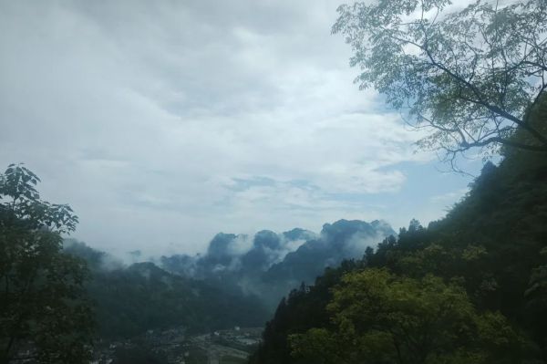 艺高动态 艺高动态
